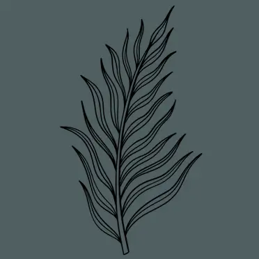 Mind Growth Mastery